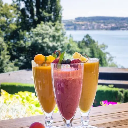Hotell Roether Gesundheitszentrum Bodensee *
