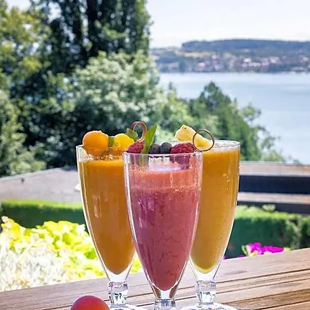 Roether Gesundheitszentrum Bodensee Hotell Uberlingen